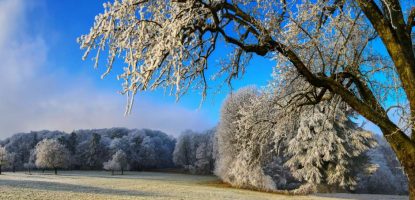 Magical winter panoramic landscape